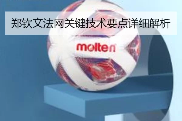 郑钦文法网关键技术要点详细解析